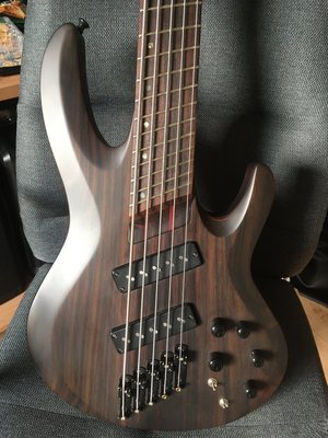 ESP LTD B-1005SE Multi-Scale Bass Gitarre 37"-34"