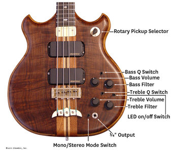 Suche Alembic Brown Bass 4-string