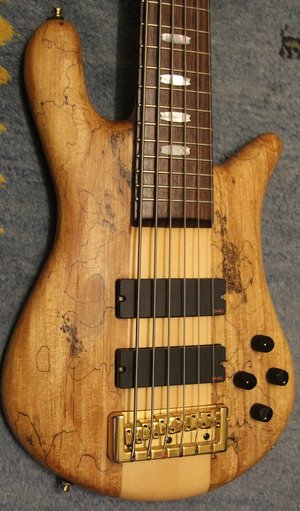 Spector_Euro6LX_body.jpg