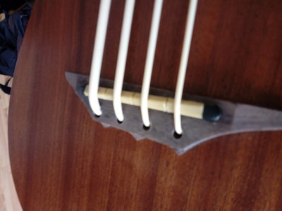 IMG_20210402_105930.jpg IMG_20210402_105930.jpg