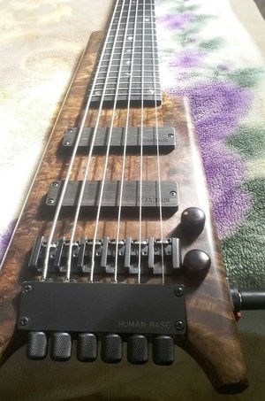 Marleaux By Haussel Pickups (Vom Marleuax Contra Bass) 6 Saiter