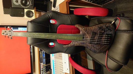 Roscoe LG 3005 Fretless