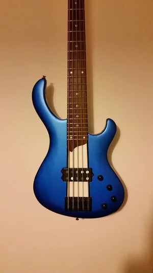 ESH various (5).webp