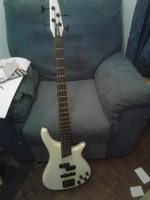 Bass Collecttion.webp