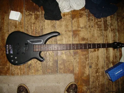 Bass Maniac (2).webp