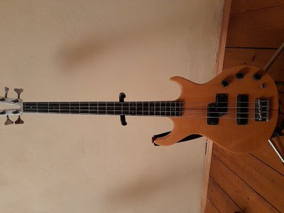 20210424_224537.jpg