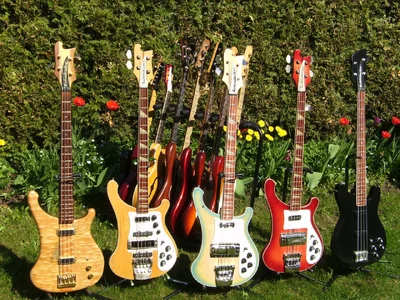 Bassfotos 2011-04 004.webp