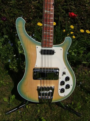 Bassfotos 2011-04 015.jpg