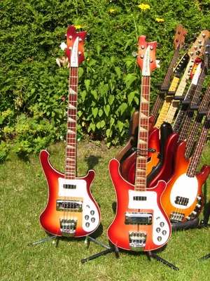 Bassfotos 2009-06-29 009.webp