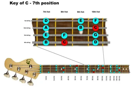 fretboard.jpg fretboard.jpg