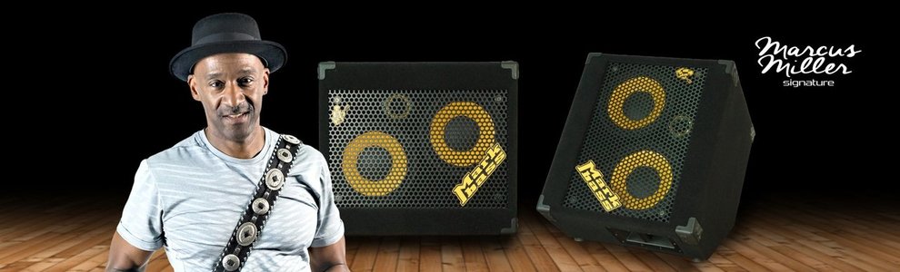 Suche: 2x10er Wedge-Box mit 8 Ohm (z.B Markbass Marcus Miller 102 Cab oder Glockenklang Duo Wedge)