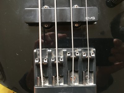 IMG_1159.jpeg