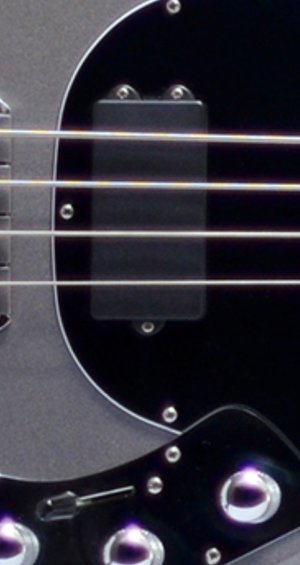 Suche MusicMan Sabre Classic Bass
