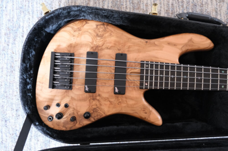Fodera Standard Special 2020
