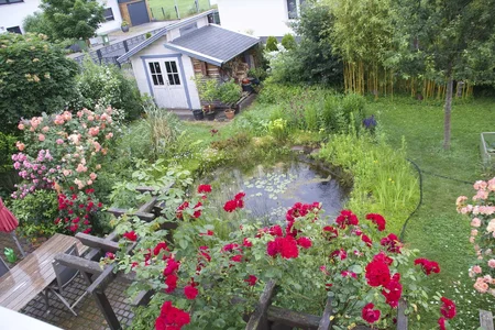 20210623_DSC_1778.webp 20210623_DSC_1778.webp