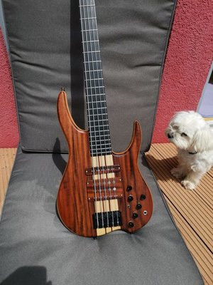 MLP King DC, Jazzbass und MusicMan in einem Instrument