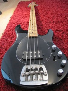 IMG_3520med.jpg IMG_3520med.jpg