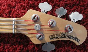 IMG_3518med.jpg IMG_3518med.jpg