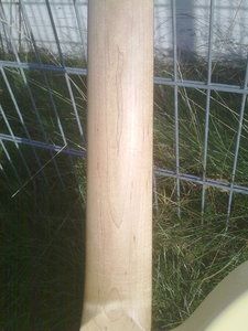 040220143042.jpg 040220143042.jpg