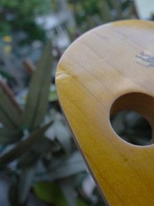 DSC01798.jpg DSC01798.jpg