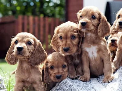 8880DD43-E1EF-4A87-8FDC-A8DEA53D7462.webp 8880DD43-E1EF-4A87-8FDC-A8DEA53D7462.webp