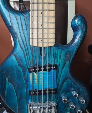 Odyssey 5 String Bass Gratis Versand !!!