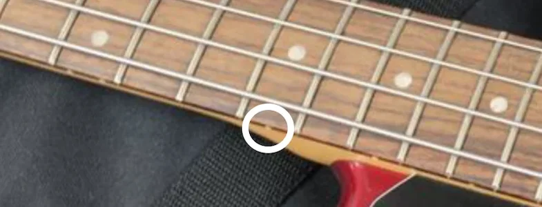 IMG_2456.webp IMG_2456.webp