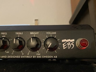 EBS Reidmar Bass Amp, neuwertig!