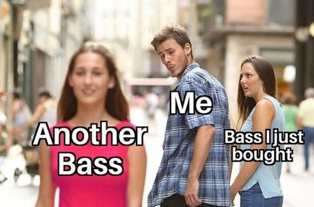 Suche Gibson RD Bass