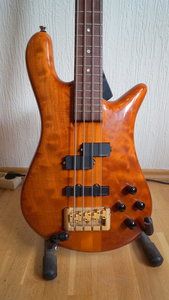 spector body front.JPG spector body front.JPG