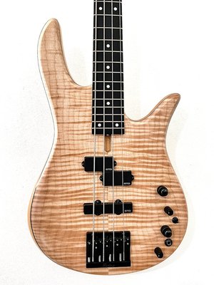 Fodera Custom Yin-Yang STD
