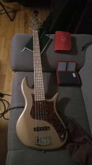 Suche f Bass bn5
