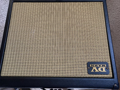 DV Mark Gold 1x12 Gitarrenbox