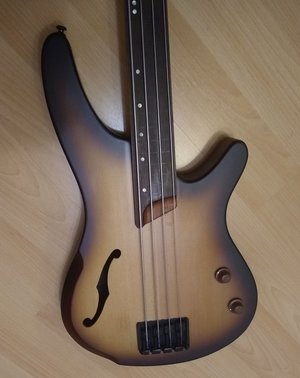 Ibanez Body.jpg