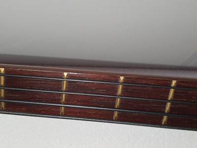 Suche....Stingray 4 Special oder Tim Commerford Modell