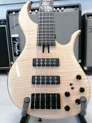 Mirel bass-Voevpd 5