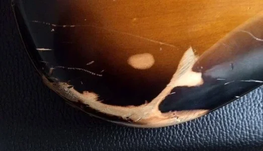 12067320_975571502501556_1880187063_n.webp 12067320_975571502501556_1880187063_n.webp