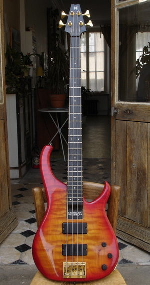 Modulus Quantum 4