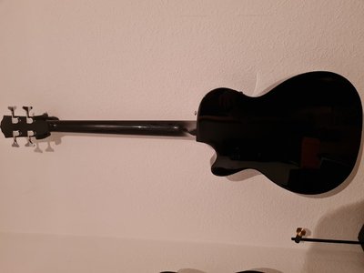 Fender Akustik Bass