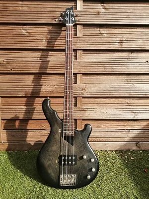 Sandberg Terra Bass 4 Signature Bass