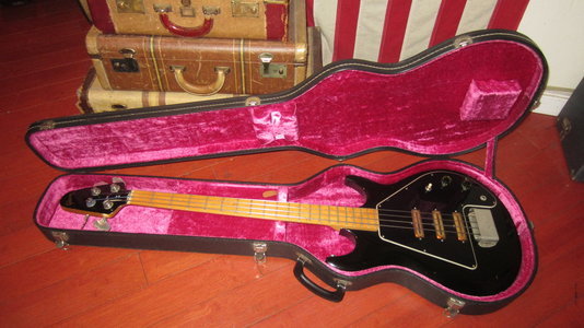 Gibson Grabber Case.jpg