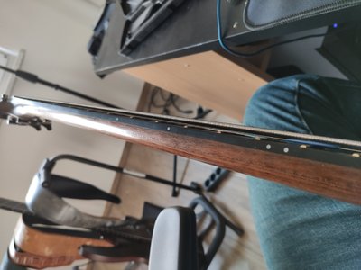 IMG_20211029_173111.jpg IMG_20211029_173111.jpg