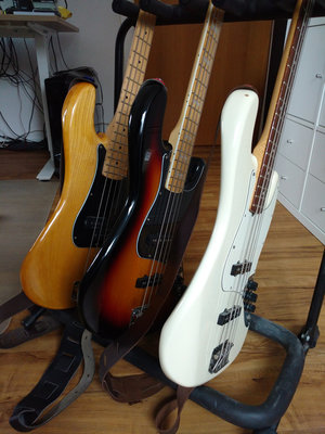 squier_bodies.jpg