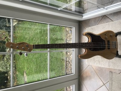 Godin Passion RG-4, Bass