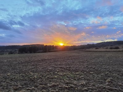 IMG_20211228_161529.jpg