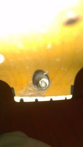 IMAG0810.jpg IMAG0810.jpg