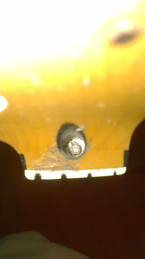 IMAG0810.webp IMAG0810.webp