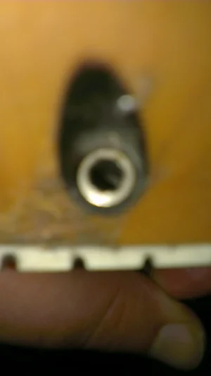 IMAG0812.webp IMAG0812.webp