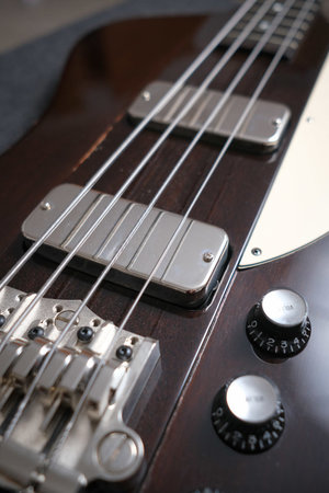 20220104Gibson_Thunderbird_Bass-42.jpg