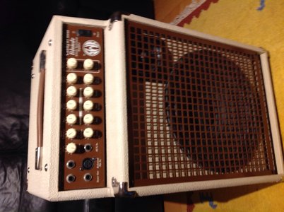 SWR Acoustic Blonde USA